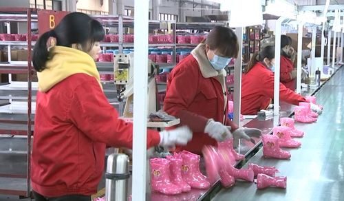 金華一季度新增 品字標(biāo) 企業(yè)數(shù)浙江省第一